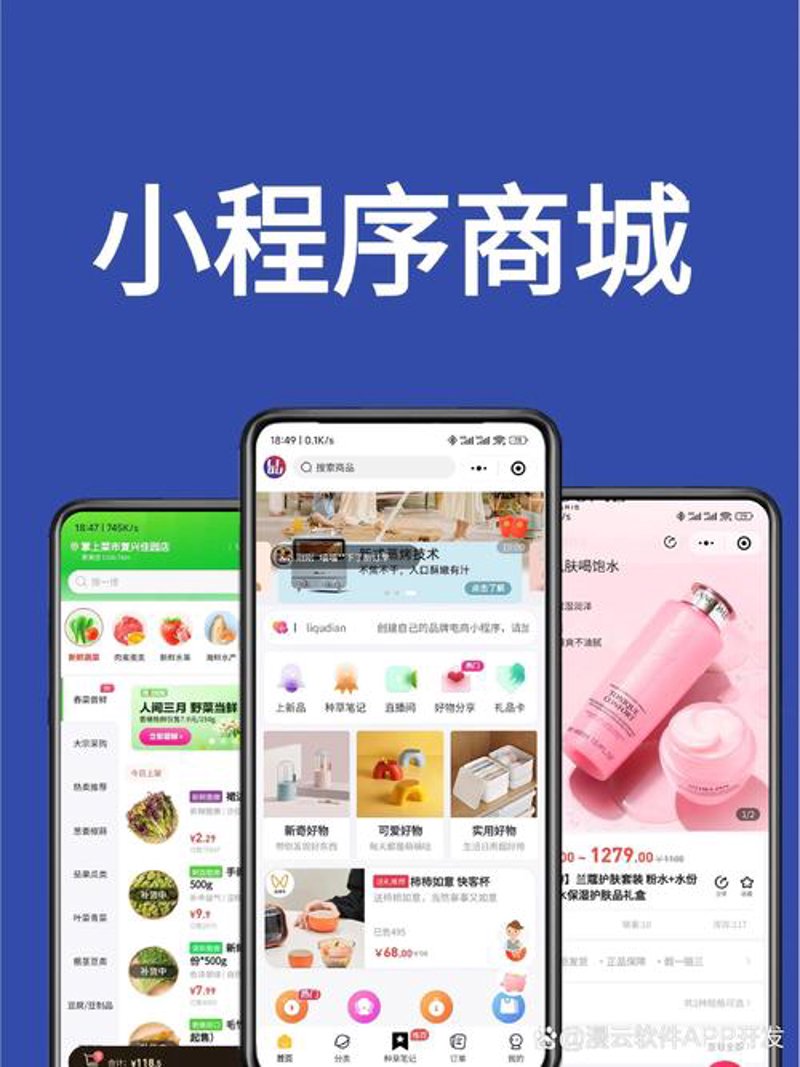 APP开发定制:创新应用的新航标