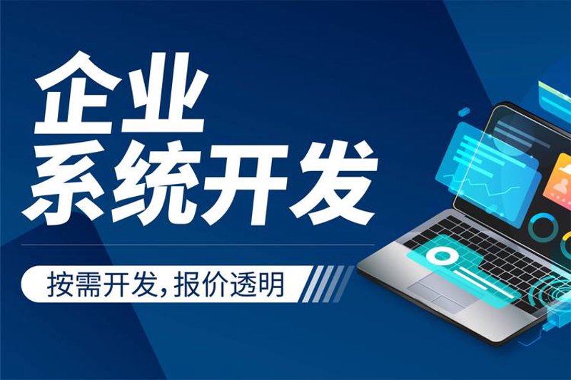 贵州 software 开发：企业创新的催化剂